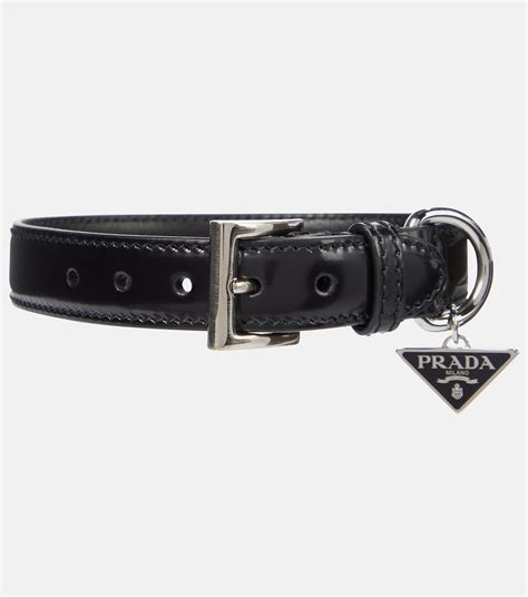 prada dog collars|designer female dog collars.